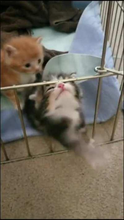 it sucks when you cant figure sh1t out