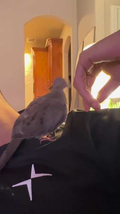 Our household cleaner