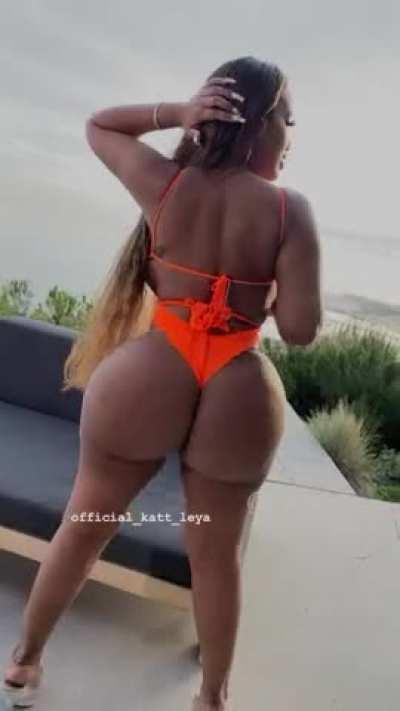 Skinny Waist, Dumptruck Ass