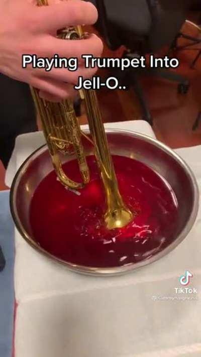 Trumpet in Jell-O go brubrubrubrubrub