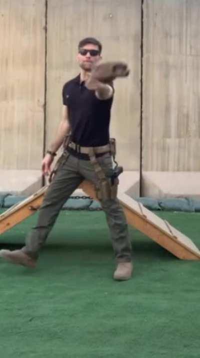 The best transition of all