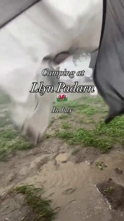 People camping in Wales in Summer.