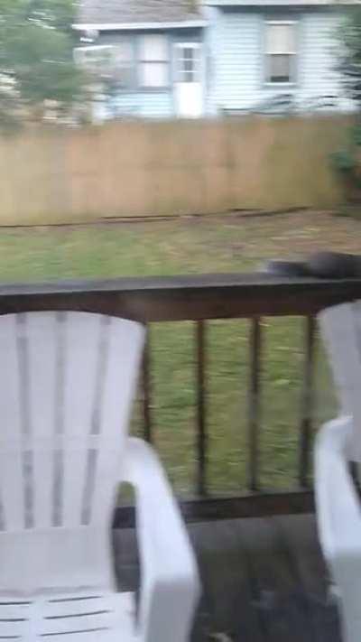 Usually they come one at a time, but today they all wanted my wife's attention