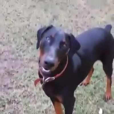 Wolfman's mysterious past revealed