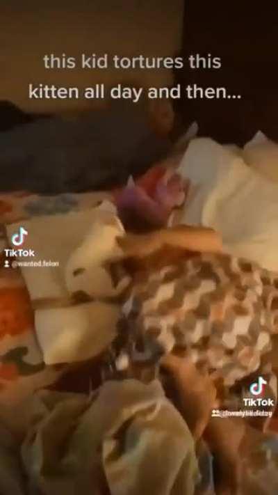 watch this kitten get revenge