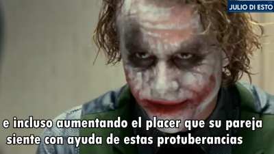 Siempre pense que las espinas eran el lago oscuro de todas las chicas gato, ahora me pregunto si los felinids.🗿