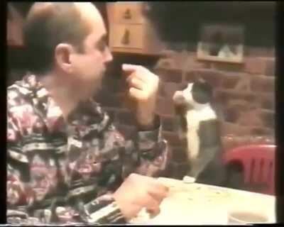 Cat using sign language with its deaf owner