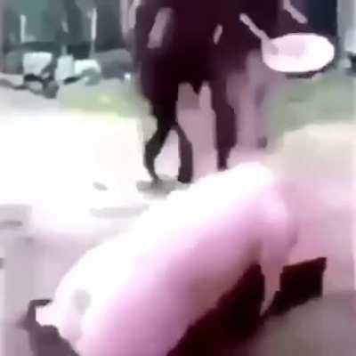 Offensive at its peak