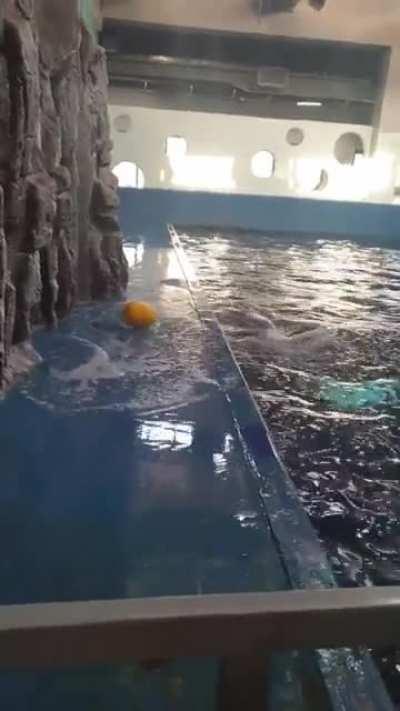 Sometimes I wonder if I would've done that!