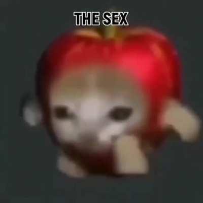 It's what I did to your mom