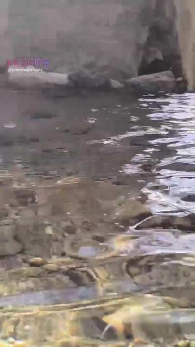 Outdoor nearly caught 