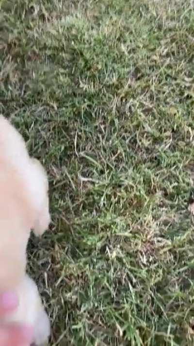 First time touching grass