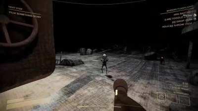 Content Warning chaos