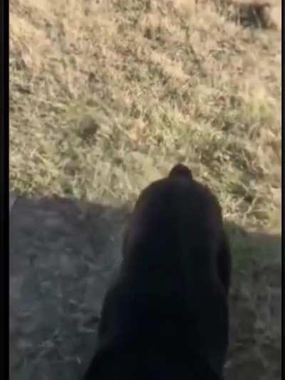 Mom's home, clear the runway!