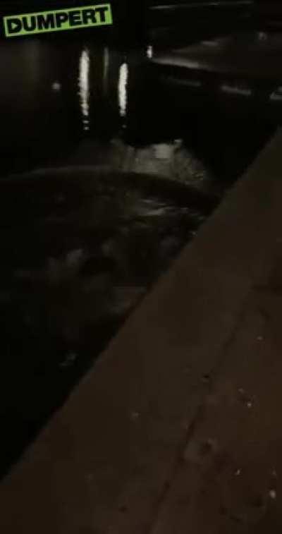 Throwing someones bike in the canal