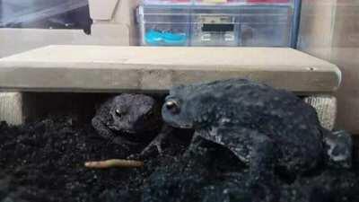 What the hell is the matter with you!!!