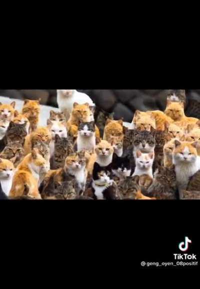 Don't mess with oyen