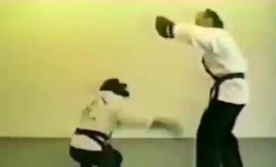 New to Tekken (7), which character is easy to play to learn the fundamentals (Lei was too hard) ? 