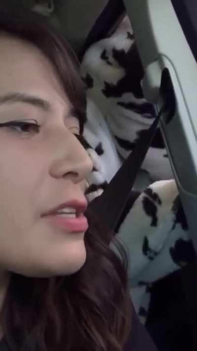 PETA harassing a Starbucks worker because they don’t understand that non-dairy milk costs more to buy