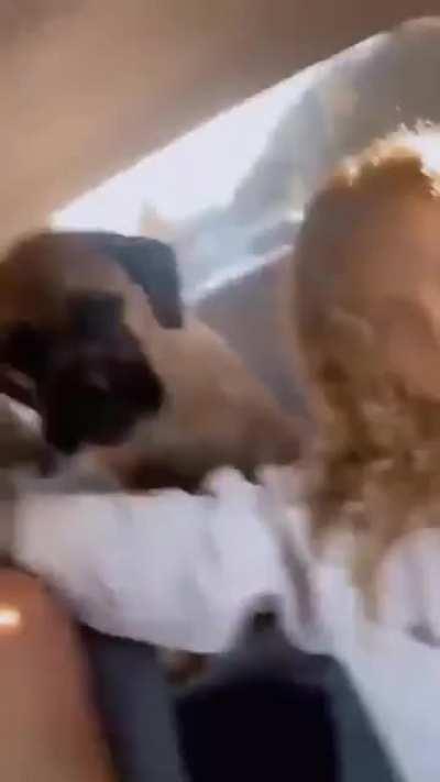 What a nice family trip.