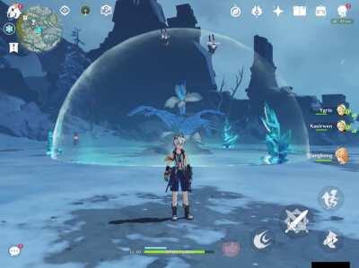 My friends competing to see who can go the highest