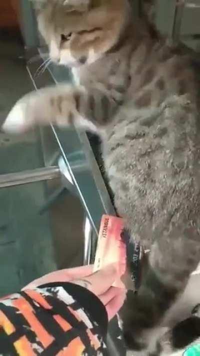 New ticket controllers are very strict in Istanbul.