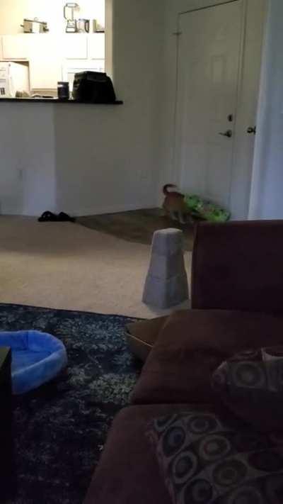 I can't with this guy sometimes