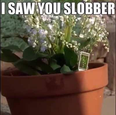 You understand heisenbergs hands are the ruler of the meth empire (OC)