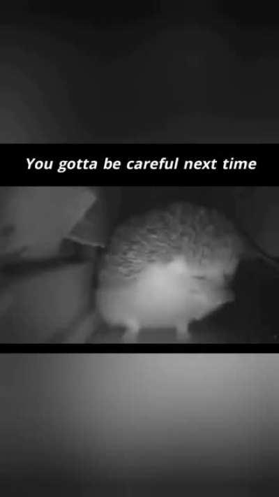 allec pandey ki viral video