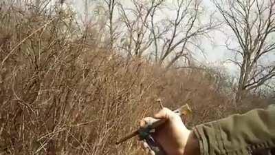 When the feds have taken all the guns.