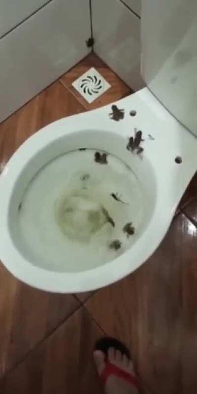 What is this fear called