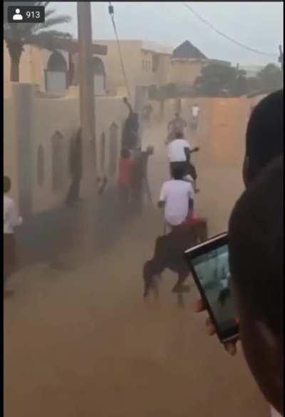 Dude reenacts Wile E Coyote hitting Wall