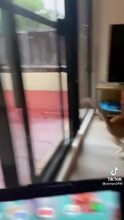 He's gonna go cry in his room.