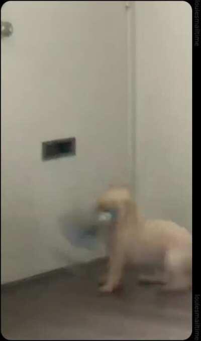 mail has been neutralized