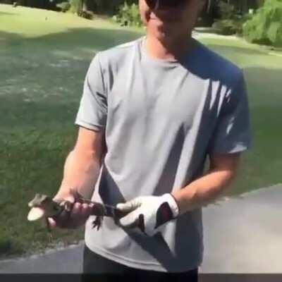 This must’ve been a monday