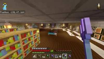 I accidentally learned how to fly in survival