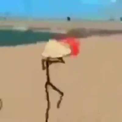 haram trol 😅😅😅😂😂😂