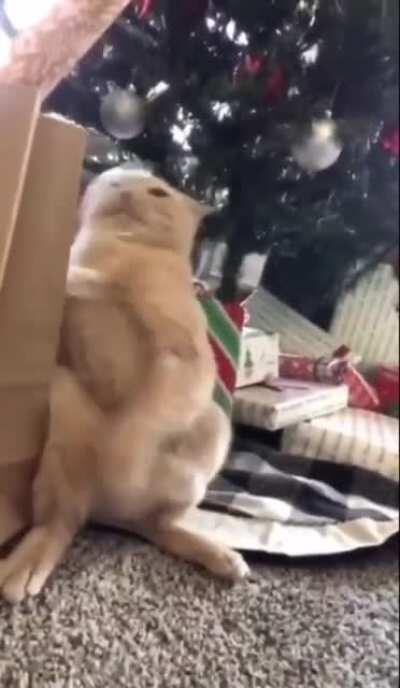 Get this tape off me !