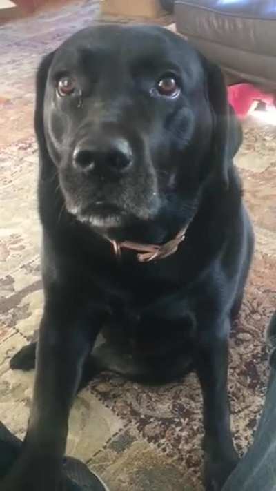 Just looking for a little palm action !!