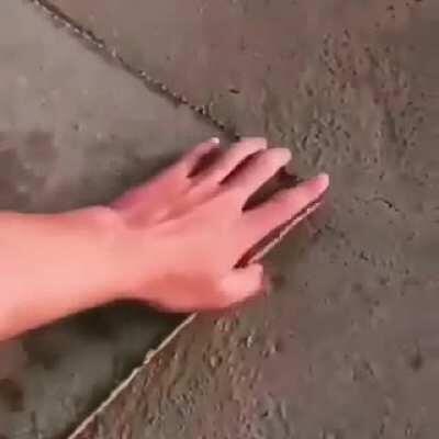 Thanks, I hate spiders