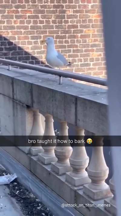 I'm sorry 😭🕊️