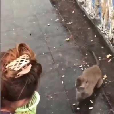 Thought this might make you all smile. Kek