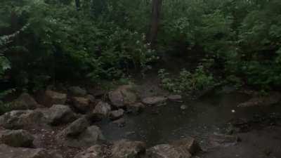 Rainy afternoon (Kansas)