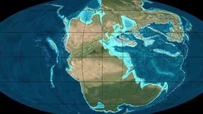 Пермское вымирание: Самое великое вымирание за всю историю. Упоротый палеонтолог