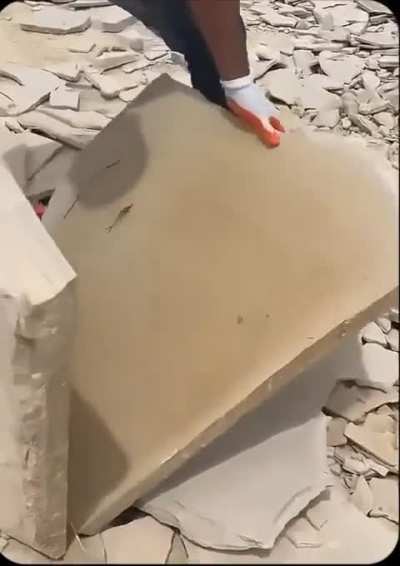 A perfectly preserved fish fossil revealed inside a limestone slab