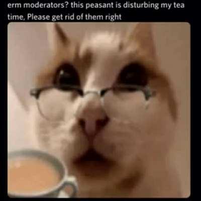 Um! Excuse me, moderators! 🧐