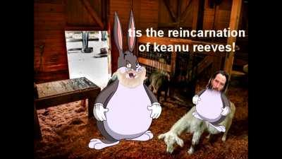 Chungus War Movie - WE MOURN THE DEATH OF R/BIGCHUNGUS