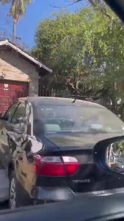 El vacunatorio sindical de Pacheco, al menos sacaron las pecheras de la reja.