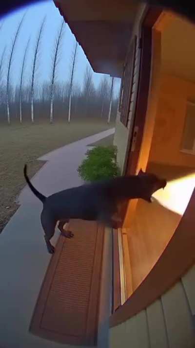 Morangos_Derretidos_ - Video #7179