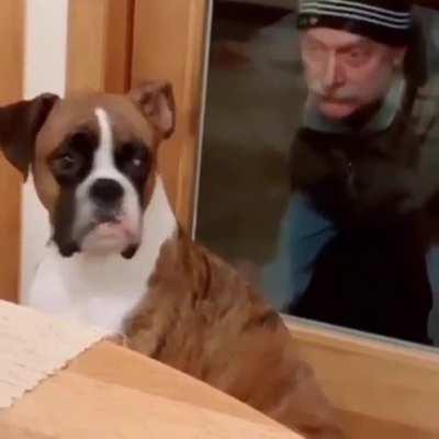 I would have the same reaction. (sound on)